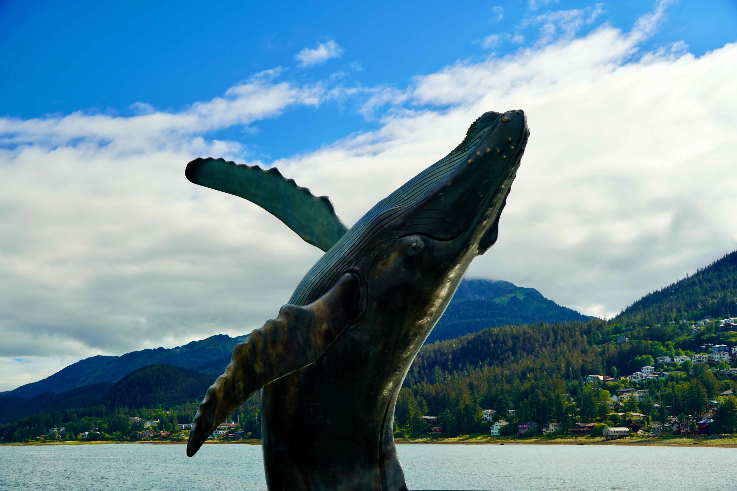 14 Days in Alaska: Our Complete Princess Cruises Itinerary from Vancouver